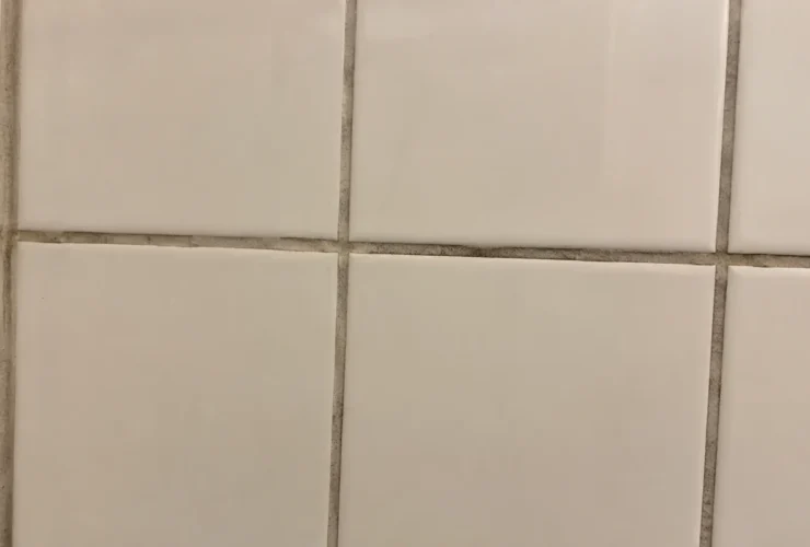 Dirty Bathroom Tiles and Grout? Here are Easy Tips to Have Them Shining Again...