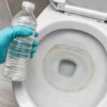 Why Are People Putting Vinegar in Their Toilet Bowls