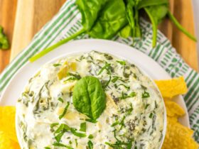 Crockpot Spinach Artichoke Dip