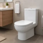 Why Do Indian People Use The Toilet This Way?