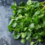 Broccoli, and Kale as the Healthiest Vegetable
