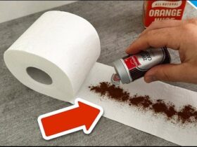 Cinnamon