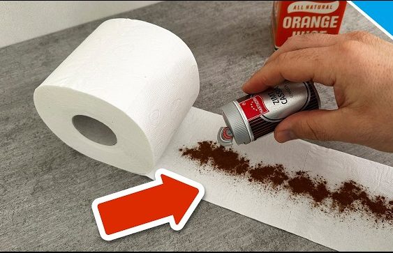 Cinnamon