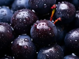 Açaí