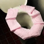 Putting Toilet Paper on the Seat Does the Opposite of What You Think