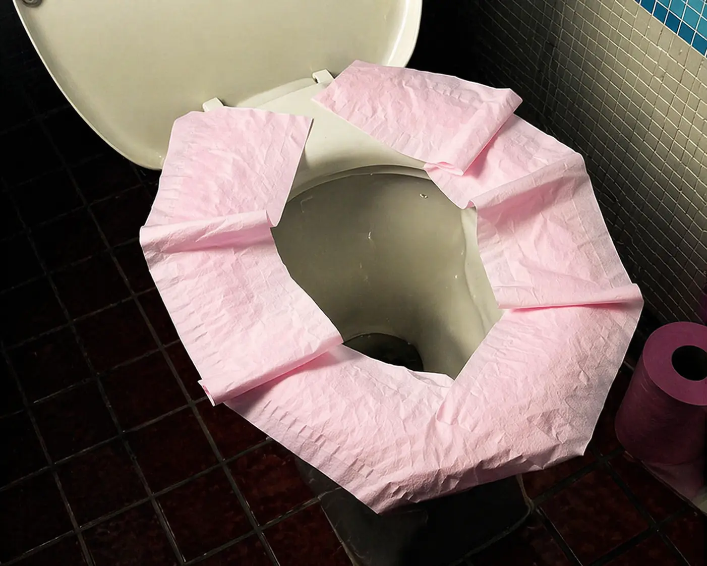 Putting Toilet Paper on the Seat Does the Opposite of What You Think