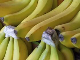 Bananas