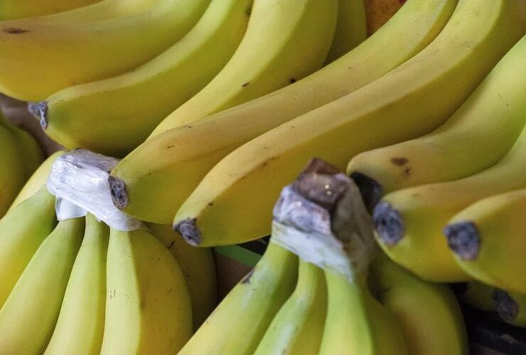 Bananas