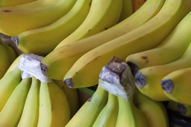 Bananas