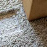 Carpet