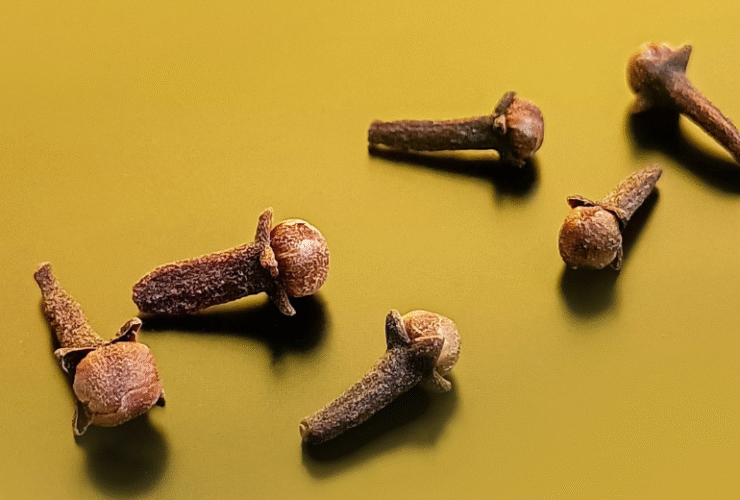 cloves