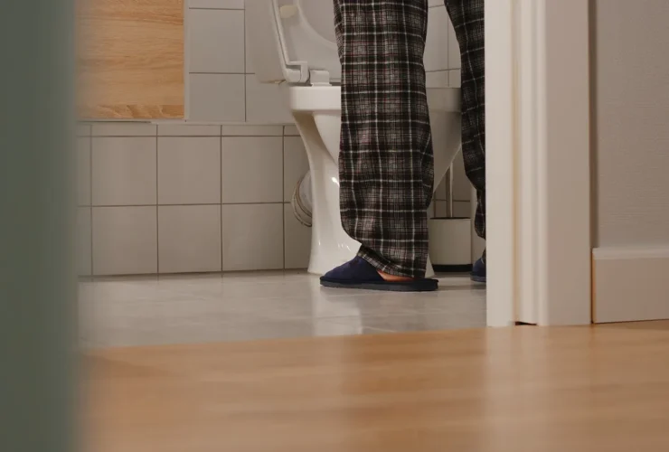 toilet