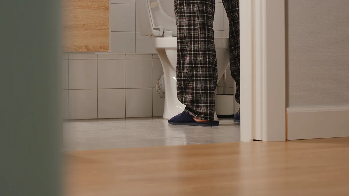 toilet