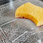 sponge