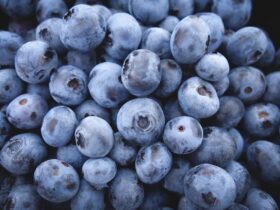 These are 4 reasons why you should eat blueberries every single day!
