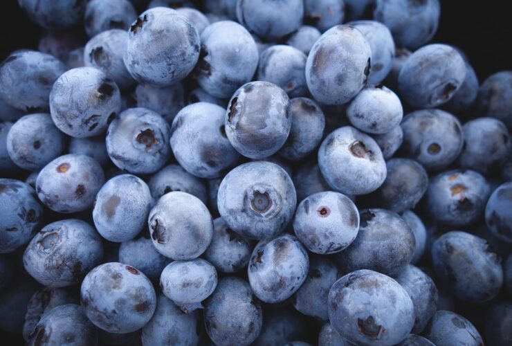 These are 4 reasons why you should eat blueberries every single day!