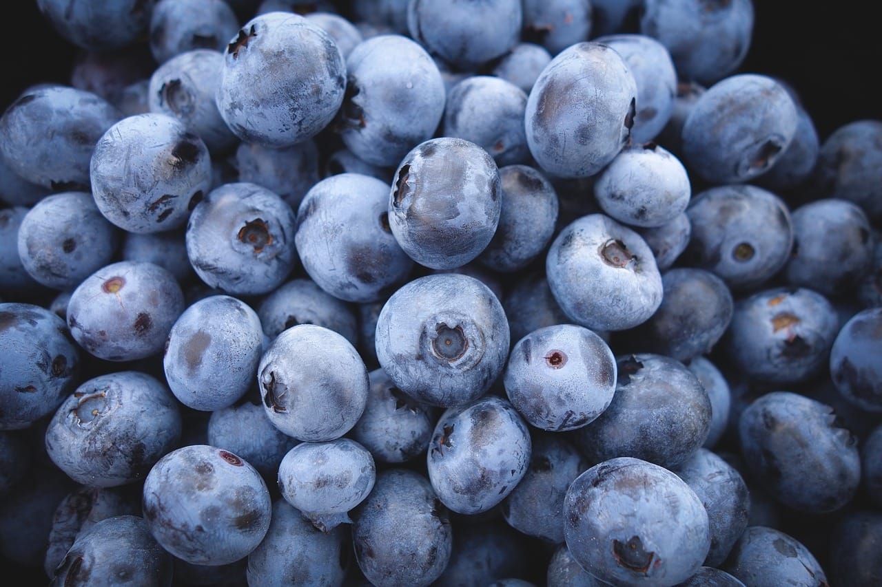 These are 4 reasons why you should eat blueberries every single day!