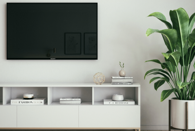 TV