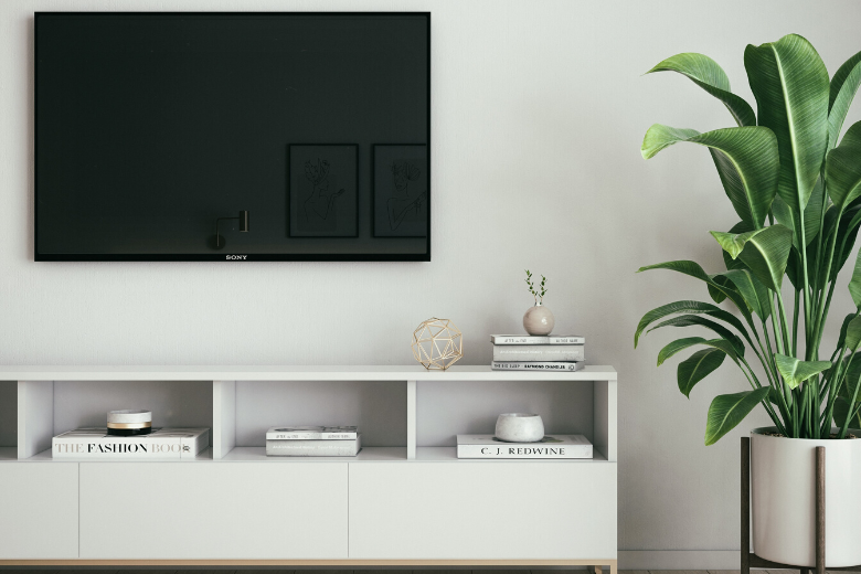 TV