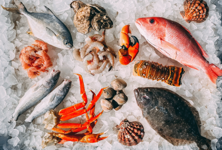 seafood