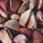 garlic