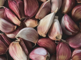garlic
