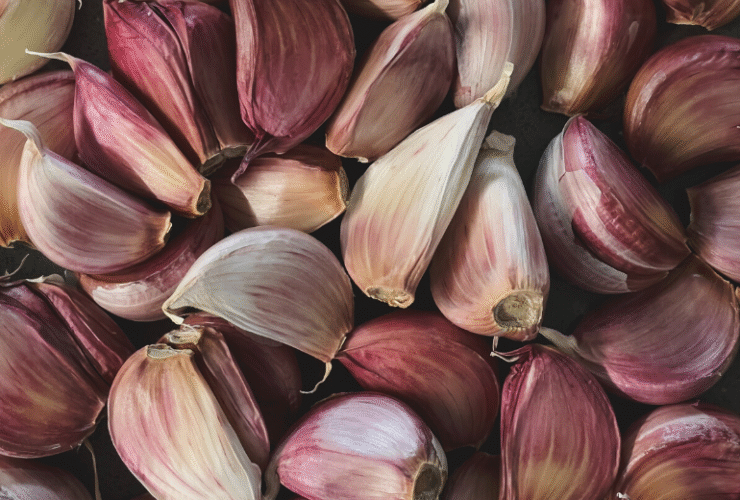 garlic