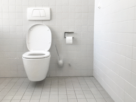 toilet