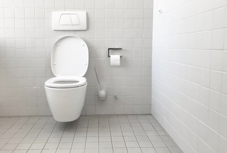 toilet