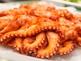 octopus