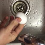Egg