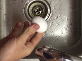 Egg