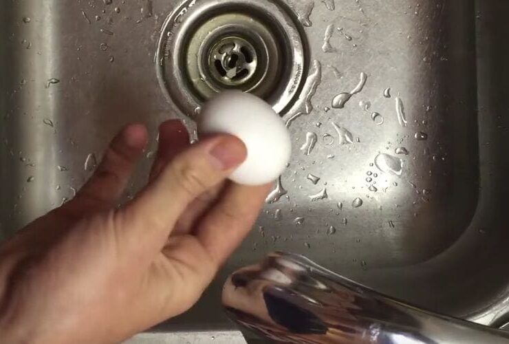 Egg