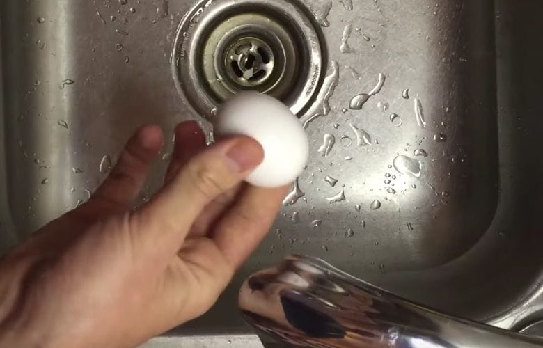 Egg