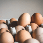eggs