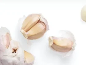 garlic