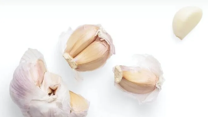 garlic