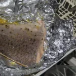 salmon