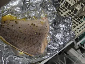 salmon