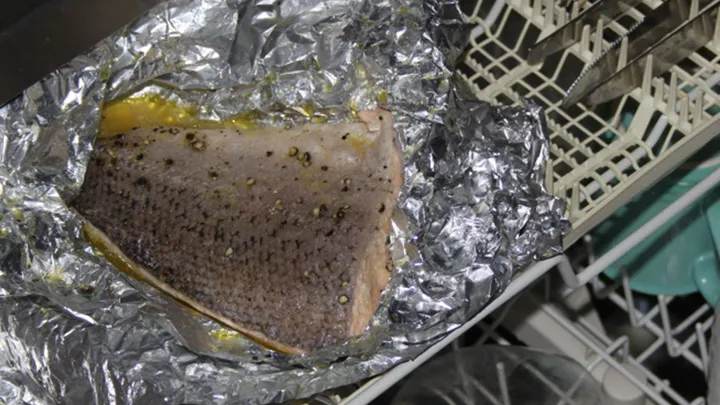 salmon