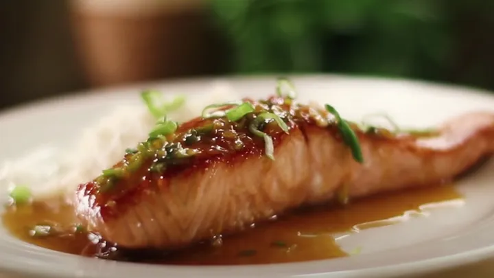 salmon 