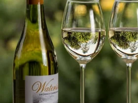 wine