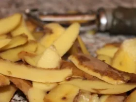 potato