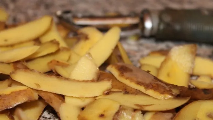 potato