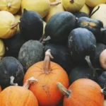 Pumpkins