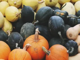 Pumpkins
