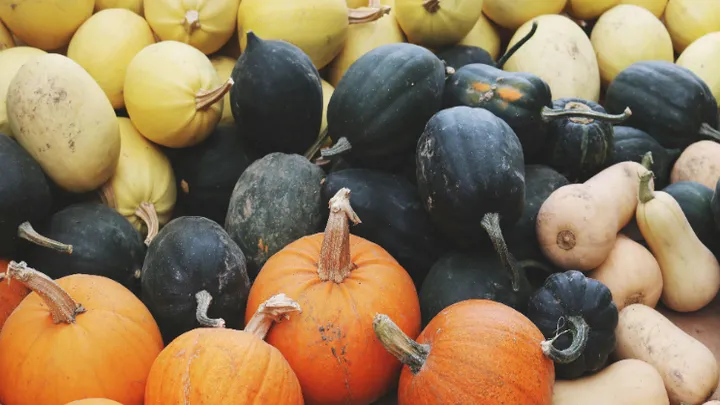 Pumpkins